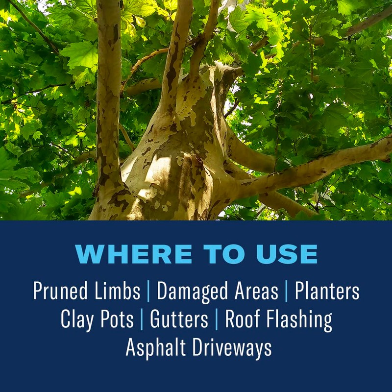 BioAdvanced Tree & Shrub Pruning Seal, Pressurized Spray Can, 13oz