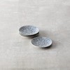 Fortessa Havana Vitrified China Coupe Rimless Plate 4 Pack, Blue,