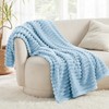 Bedsure Super Soft Blue Throw Blanket - Fuzzy Bed Blankets