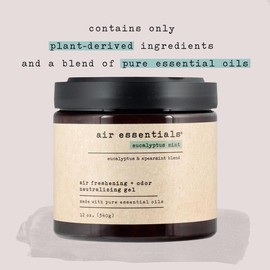 Air Essentials Air Freshener & Odor Neutralizer Gel - 12 oz, Pack of 2 - Odor Eliminator - Made with Pure Essential Oils - Eucalyptus Mint Scent