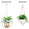 Ganchos de techo para plantas colgantes – Soporte de pared
