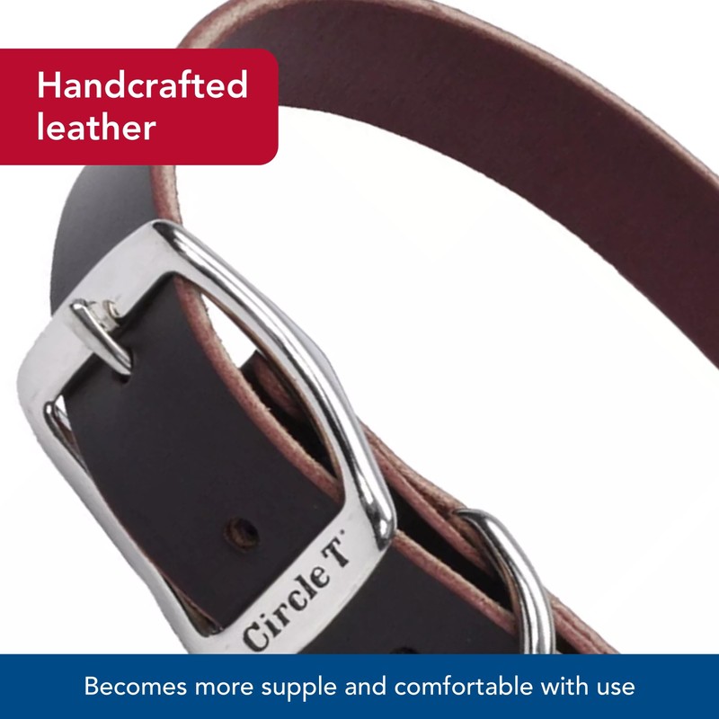 Coastal Pet - Circle T - Latigo Leather Town Dog