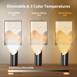 Brightown 2 Pack Floor Can Lights - 6000K LED Up Lights with Remote and Timer, 3 Color Temperatures and Dimmable Uplighting Spotlights for Dark Corner Sofa House Plant Wall Artwork Indoor
