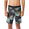 Quiksilver Highlite Arch 19 Inch Board Shorts for Men, Tarmac