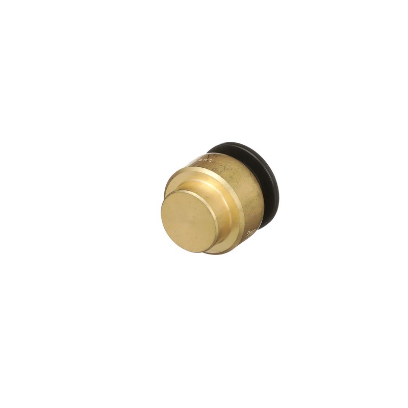 Watts LF4745-10 AquaLock Brass Series, 1/2" CTS Lead-Free Brass End