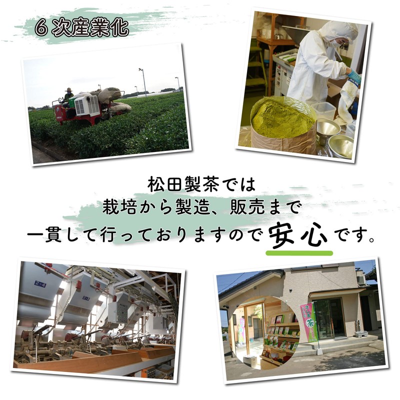 Matsuda Seicha Sashima Tea Bag with String 0.1 oz (2.5