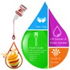 Food Flavoring Oil - 24 Pack Concentrated Flavor Oil for