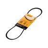 CONTITECH 4PK830 ELAST V-Ribbed Belt