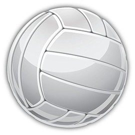 Zirni Volleyball Sport Ball Sticker Decal Design 5" X 5"