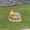 Pelle & Sol Robin Birds on Nest with Eggs Garden