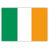 10 x Irish Flag Stickers - Ireland Stickers - for