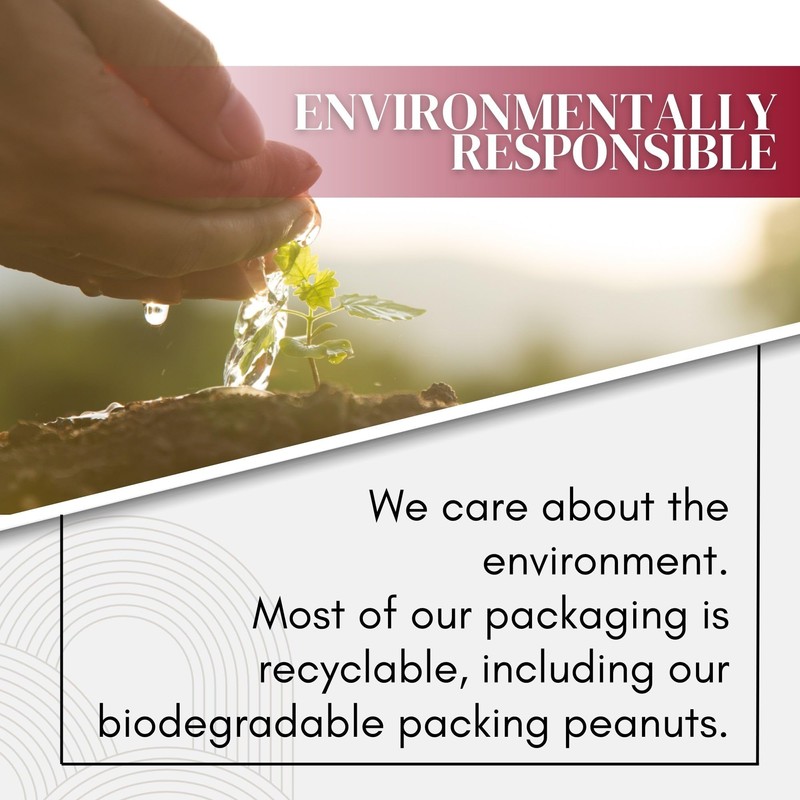 Circle E Candles, Campfire Scent, Medium Size Jar Candle, 22oz,