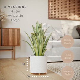 EverNest Claire Modern Indoor Plant Pot with Stand, White Pattern, 12 Inch, SelectBase, Neutral Mid-Century Modern Style, Metal Home Decor Planter (Large, 3 Gallon)