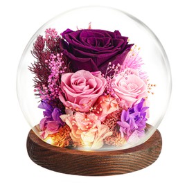Valentines Day Gifts for Her, Real Eternal Forever Preserved Roses Flowers for Delivery Prime Birthday Gifts for Women Girlfriend Wife Friend Sister Grandma Mom Gifts Anniversary Christmas Mothers Day