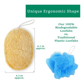 Esponja Exfoliante 100% Natural De Lufa Esponja De Lufa