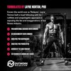 Outwork Nutrition Pre-Workout Supplement with Nootropics - Energy & Mental