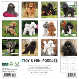 Just Toy & Miniature Poodles 2025 12" x 12" Wall Calendar