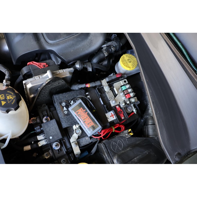 Pulsetech PowerPulse Battery Maintenance System, 48V