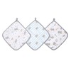 aden + anais essentials Washcloth Set, Super Soft 100% Cotton