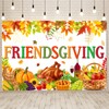 friendsgiving banner