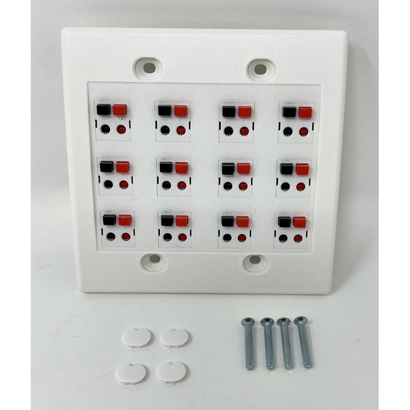 RiteAV 12 Port Speaker Jack Dual Gang Wall Plate for