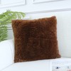 Sea Soft Lion Velvet Throw Pillow Case Cushion Cover Fashion