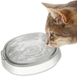 Small and Shallow Glass Bowl for Kitten | Water Bowl for Cats Kitties Puppy | Transparent Pet Feeding Bowl,Promotes Pet Hydration, Durable and Stable Design,Protect Pet's Spine,Dishwasher Safe