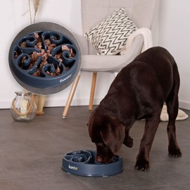 lionto Dog Bowl Anti-Slinging Bowl Non-Slip Cat Bowl Anti-Sling Dog Bowl Feeding Bowl 30 x 5.5 cm Grey