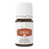 Young Living Aceite Esencial De Jengibre Young Living