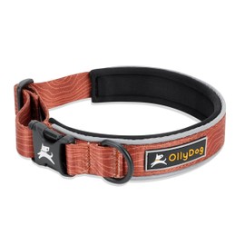 OllyDog Flagstaff Reflective Comfort Collar, Neoprene Padded Dog Collar, Reflective Trims for Night Runs, Extra Comfort for Active Dogs (Small, Clay Woodgrain)