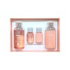Care Zone Doctor Solution Acure Clarifying Toner Emulsion Planning /