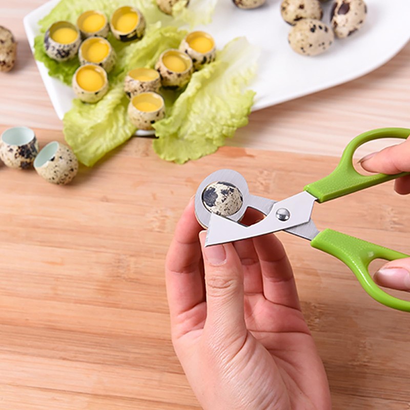 Portable Quail Egg Shell Cutter Anti-Rust Quail Eggs Scissors Stainless