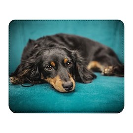 Fabulous Mauspad aus Kunstleder Corgi Kleiner schwarzer und brauner Hund Süßer Hund