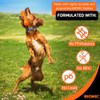 BIONIC Urban Stick - Juguete para Perros de hasta 20