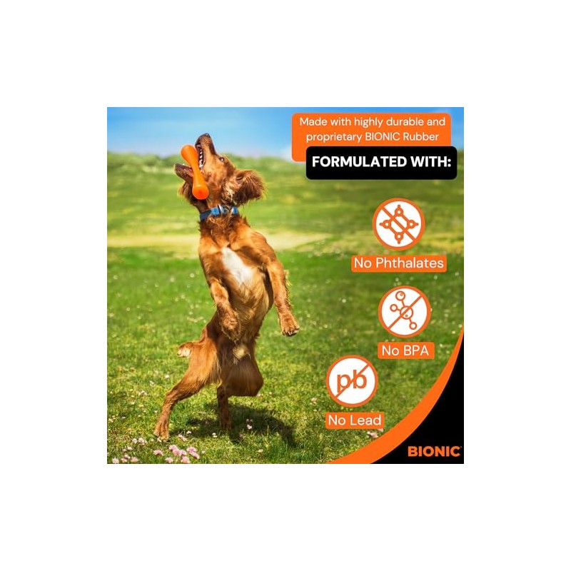 BIONIC Urban Stick - Juguete para Perros de hasta 20