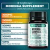 Brightcaps Moringa Complex - 3000mg Moringa Powder enriched with Turmeric,