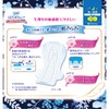Sofi Hadamoi Ultra Slim 290 Days of Night with Wings,