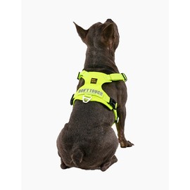 Need the Pet [니즈더펫] 인터라켄 초경량 라이트 하네스 5종 택1 [Need the Pet] Interlaken Ultra Lightweight Light Harness 5 Types Select 1