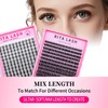 RITALASH Fairy Lash Clusters Wispy Cluster Lashes Individual Lashes DIY