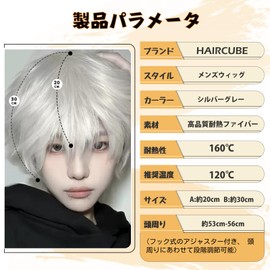 HAIRCUBE Men's Short Wig, Men's Wig, Men's Wig, Handsome Wig, One Size Fits Most, Unisex, Natural, Breathable, Heat Resistant, Harajuku, White