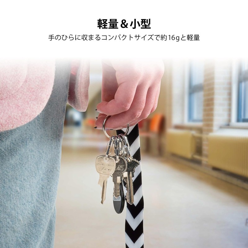 NITEIZE RL-11-R3 Micro Link Key Ring