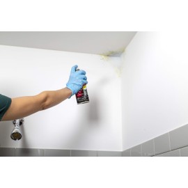 Rust-Oleum Zinsser 287512-6PK Mold Blocking Spray Primer, White, 13.00 Fl Oz (Pack of 6)