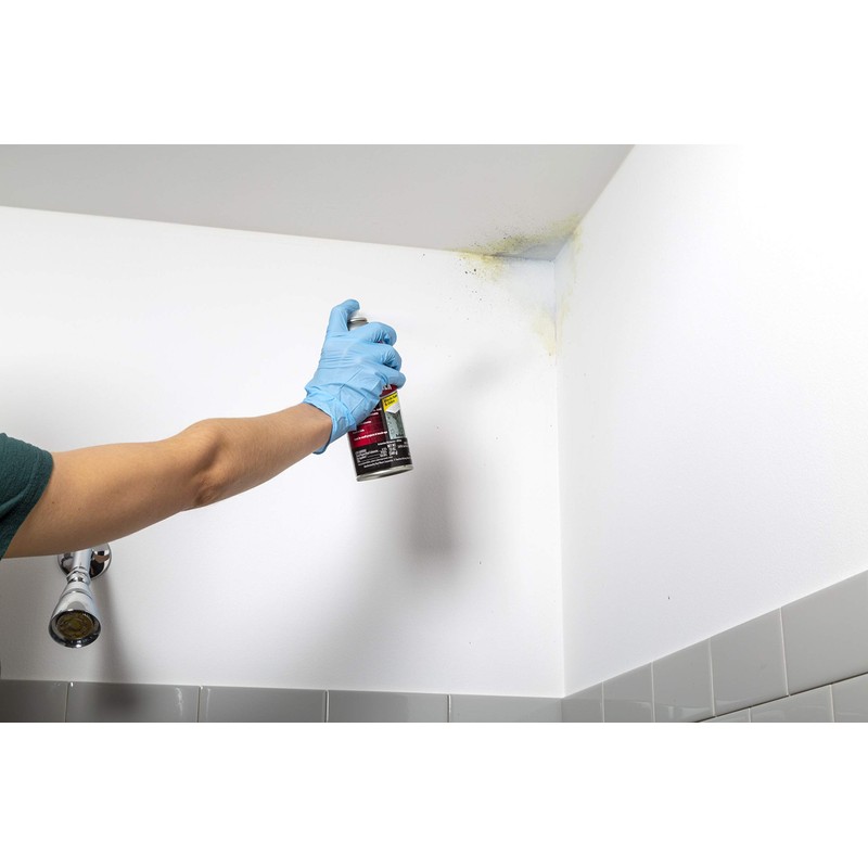 Rust-Oleum Zinsser 287512-6PK Mold Blocking Spray Primer, White, 13.00 Fl
