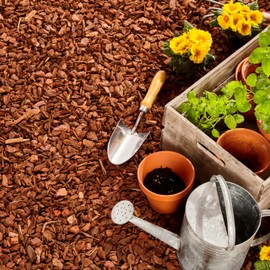 GARDENWISE Premium Pine Bark Nuggets – Pine Bark Mulch for Gardens, Landscaping, Potted Plants, and Wood Chips for Garden Beds (0.2 CF - 4.8 L - 5 QTS)