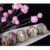 Bacilio Chinese Tea, Flower Tea, Art Tea, Water Flower Basket,