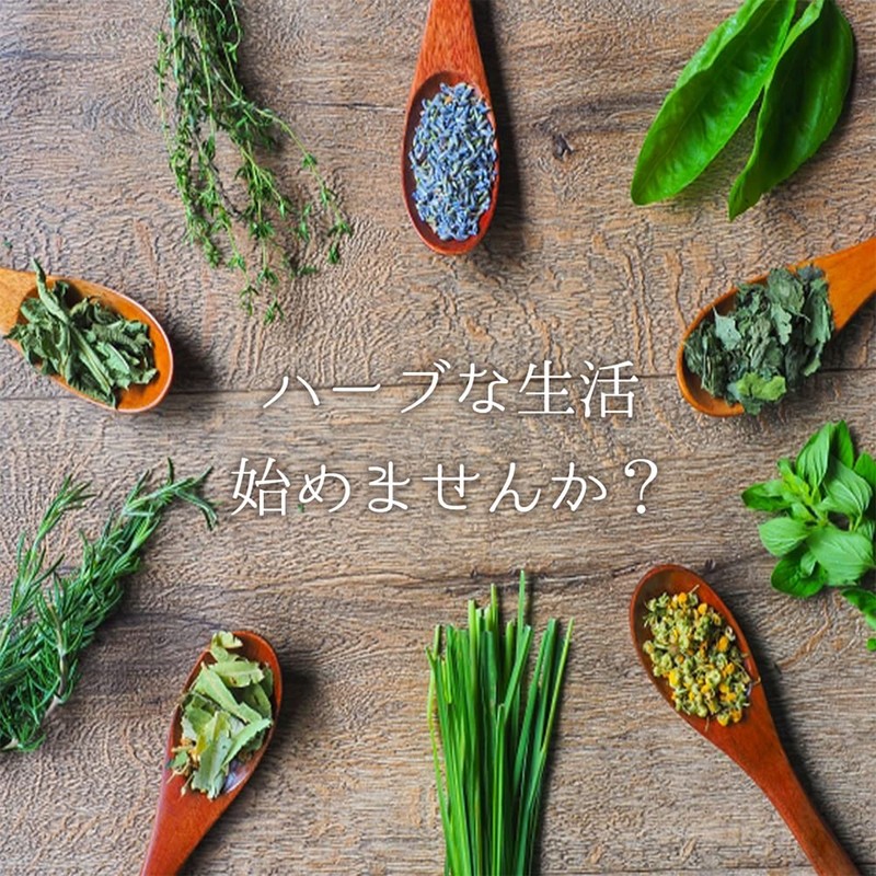 Umeken Honpo Dry Herb Morning Set, Trial, Edible Herbs, 3