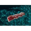BiggerKids SUMMER SALE: Bacon & Egg Inflatable Pool Floatie Swimming