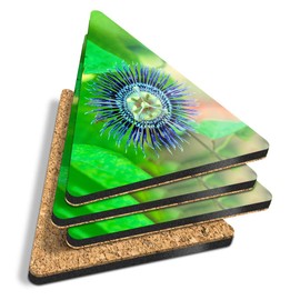 4 x Triangle Coasters - Passion Flower Close Up Macro Cork Backed MDF Glossy Tea Coffee Accessory #3555
