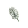 Ideen mit Herz Decorative Fir Branches, Snow-covered, 6.5 cm Long,