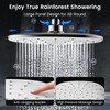 10" Rain Shower Head with Handheld Spray, Dual High Pressure